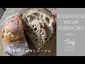 SUB/すっぱくない自家製酵母カンパーニュの作り方/パニーニの朝食/How to make sourdough bread campagne