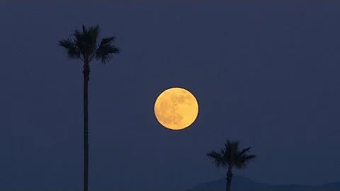 (FREE) Curren$y x Larry june  Type beat "Late night"