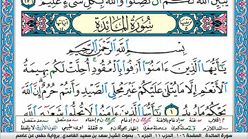 سورة المائدة كاملة سعد الغامدي ملون صفحة صفحة جودة عالية