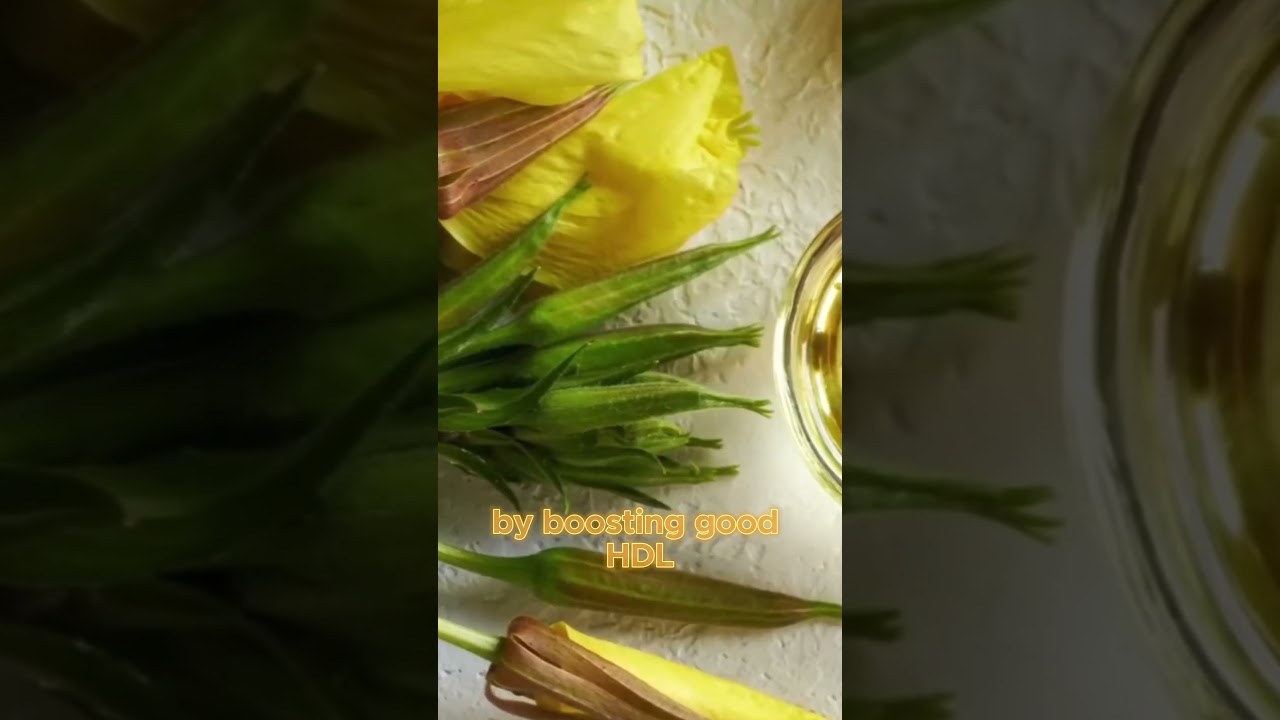 Evening Primrose Oil_ The Inflammation Fighter for your Health