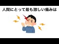 痛みに関する雑学