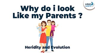 Introduction to Heredity | Grade 10 | Don't Memorise Introduction to Heredity | Grade 10 | Don't Memorise