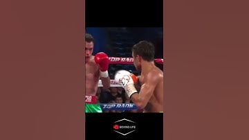3 of Lomachenko