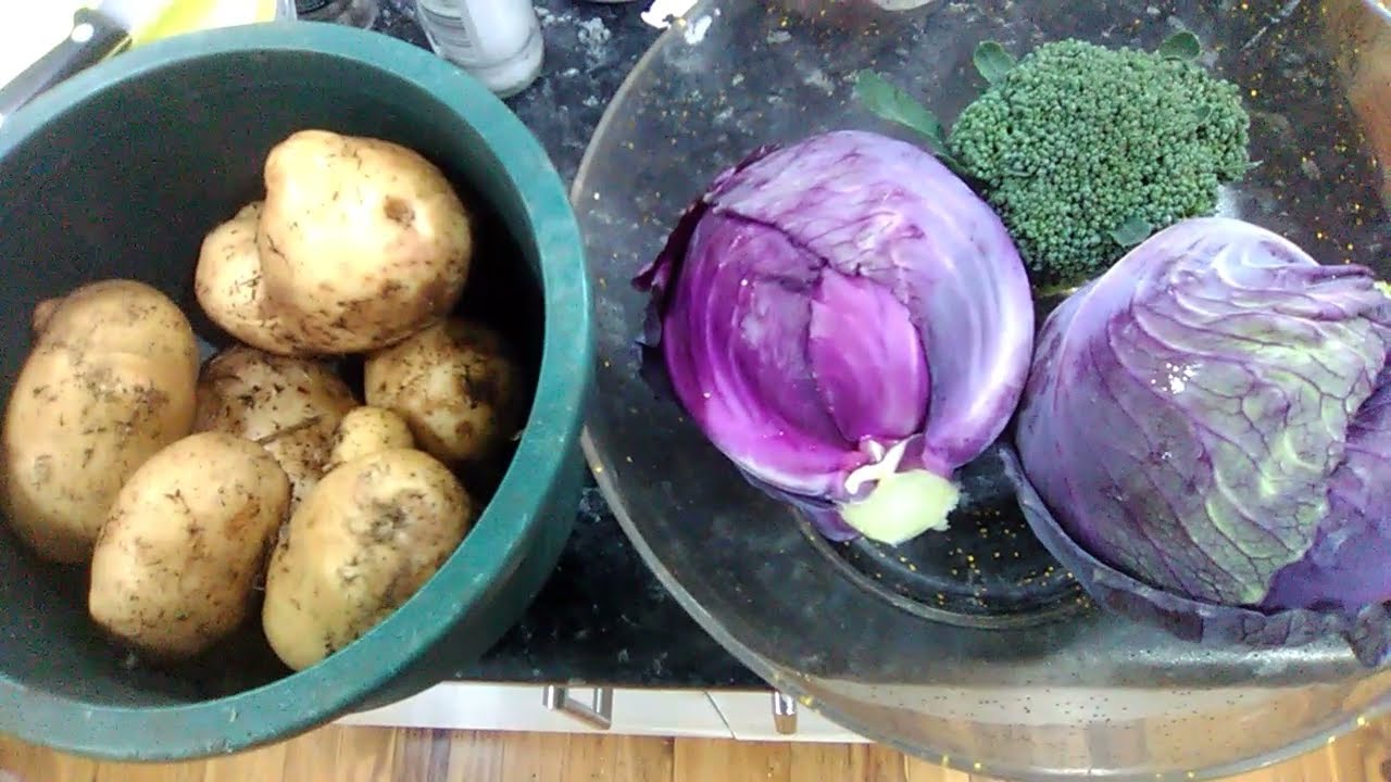My First Harvest of Potatoes Grown in Grass Clippings RuthStout NoDig