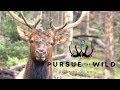 How To Hunt Elk In The Early Season with Kristy Titus