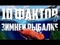 Зимняя рыбалка | Интересные факты | Рыбалка