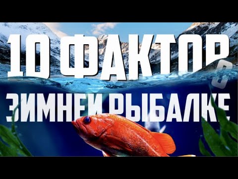 Зимняя рыбалка | Интересные факты | Рыбалка