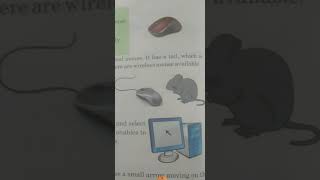 Class 1 chapter 7 How to use a mouse