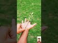 बांस की बंदूक #shortvideo #shortsfeed #shorts #ytshorts #cartoon