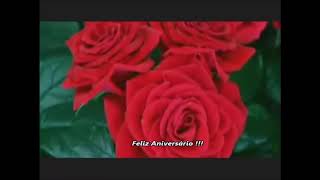 FELIZ ANIVERSÁRIO - SUELI