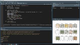 PyTorch Scene Classification SAT-6 Dataset)