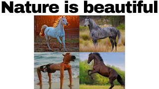 MEMES OF DANKNESS V127