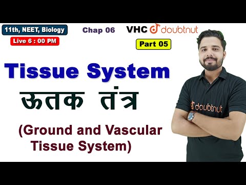 Lec 05 Tissue System (Ground and Vascular Tissue System), 11th Biology