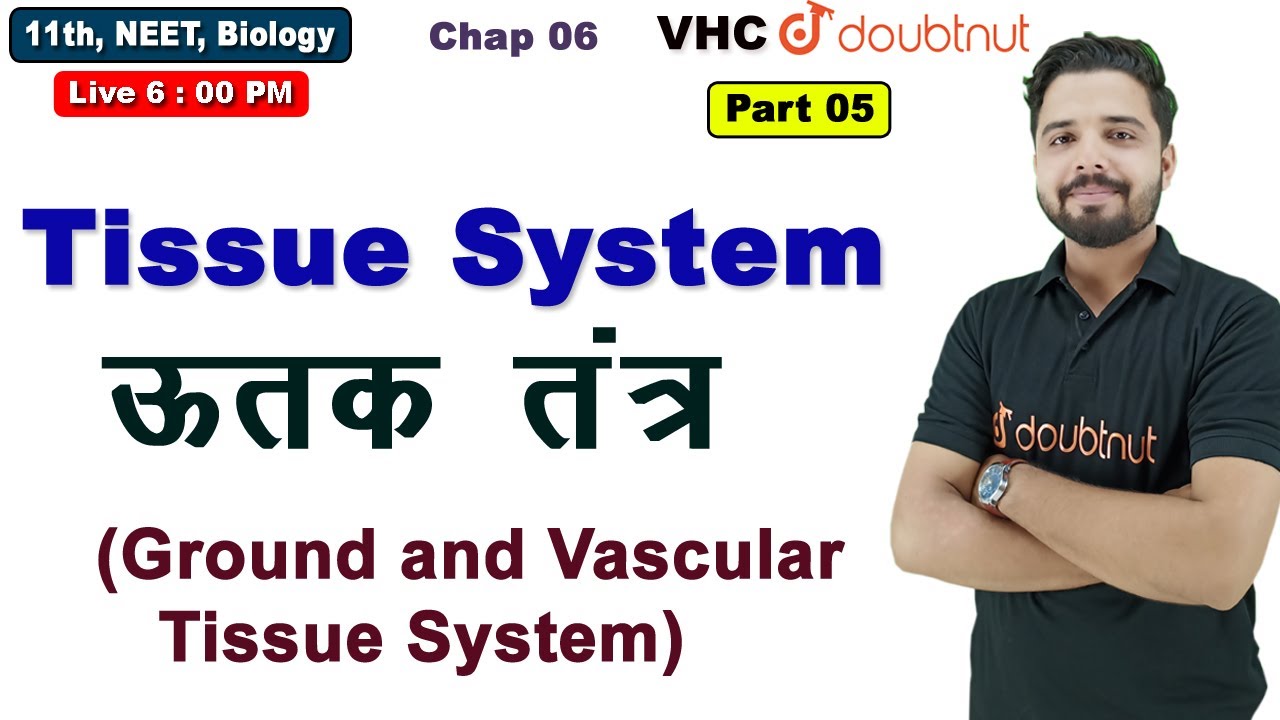 Lec 05 Tissue System (Ground and Vascular Tissue System), 11th Biology