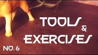 Reactive Dog 6 - Tools and exercises