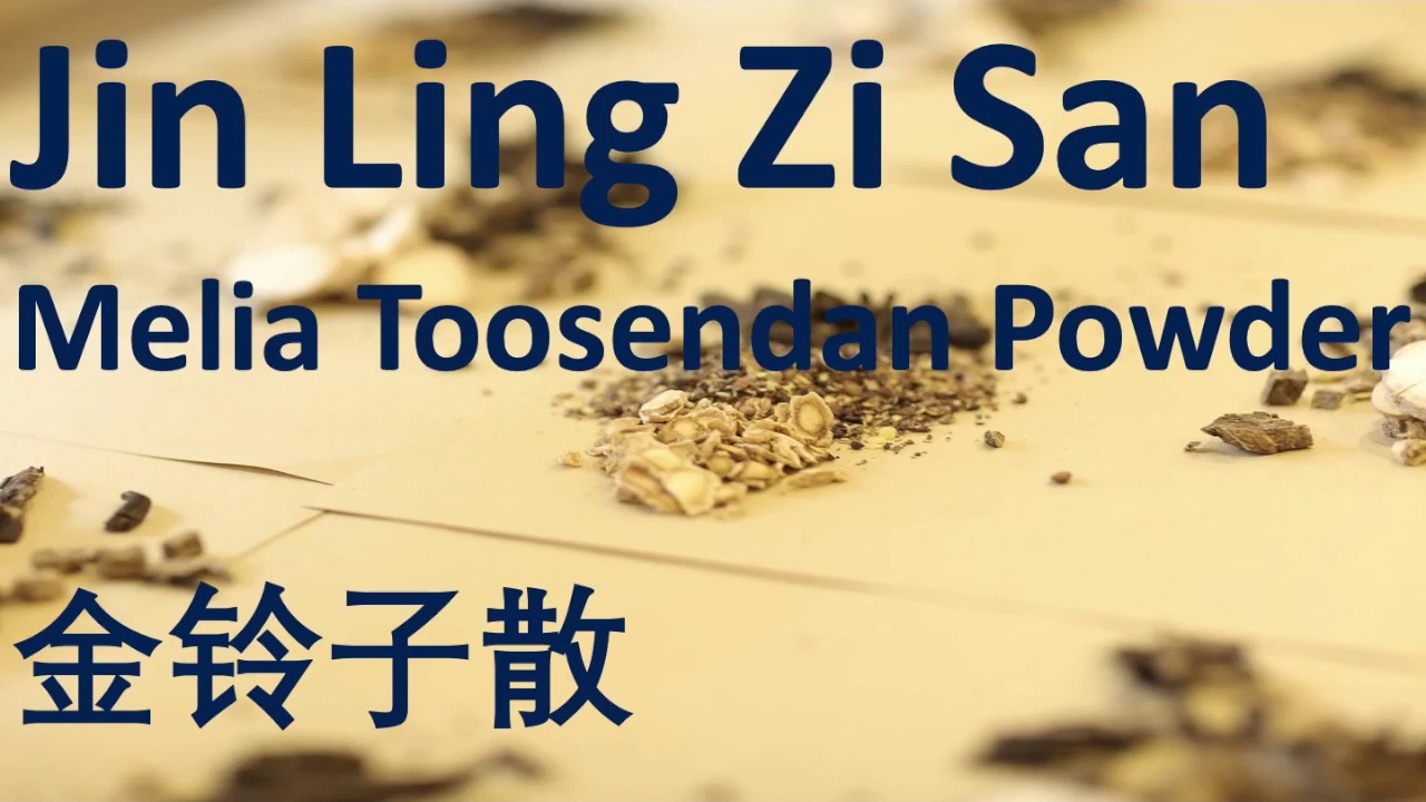 52 Chinese Herbal Formula, TCM - Jin Ling Zi San (Melia Toosendan Powder) 金铃子散 - 中医 中药 方剂