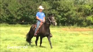 General - (FOR SALE)