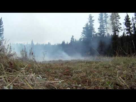 Binary Explosives 2014