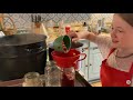 #DITL Homestead Test Kitchen | Cranberry Persimmon "Butter"? #homesteader #frugal #lowwaste #canning