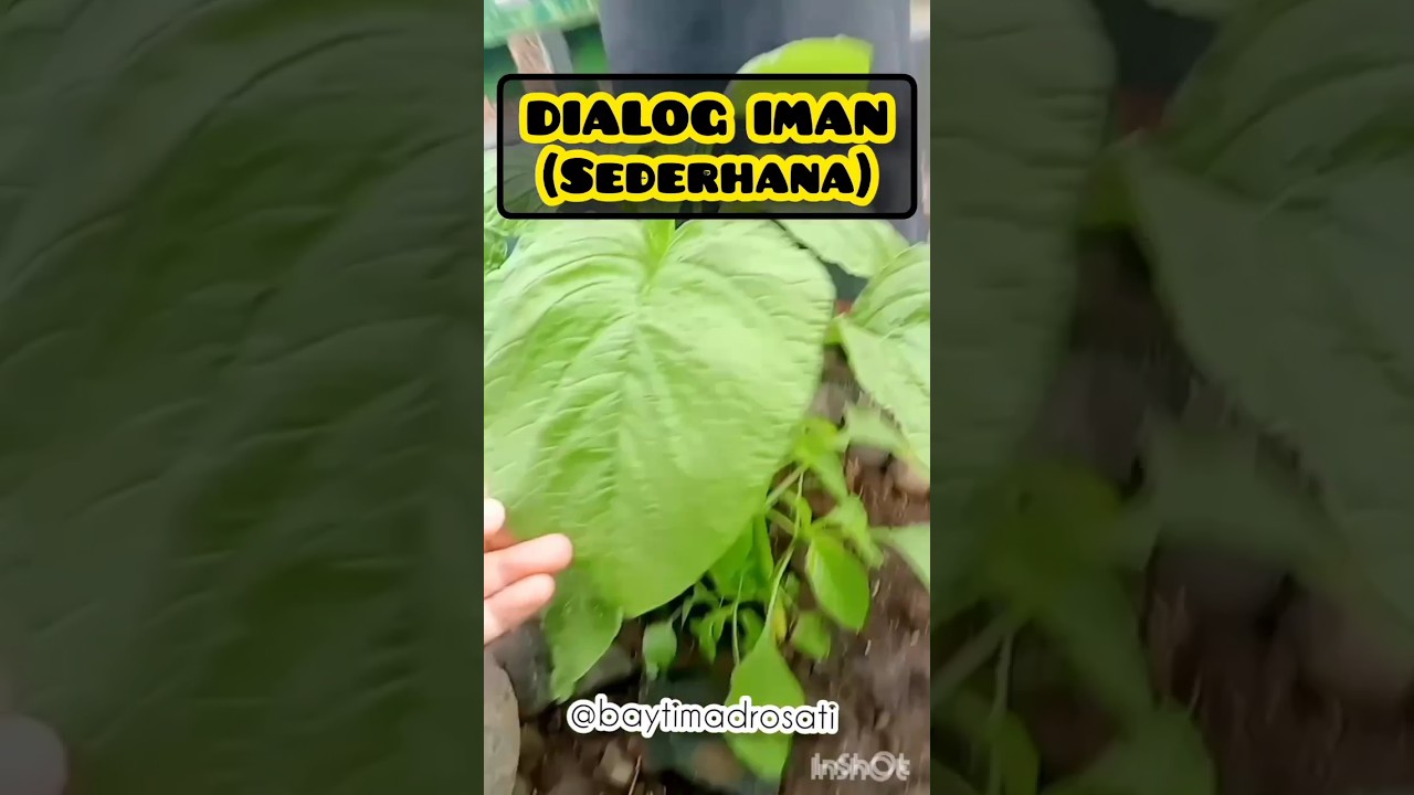 Dialog Iman (Sederhana) Dengan Anak