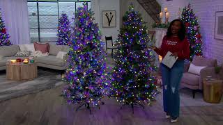 Beranda Refleksi Warna Balik Peri Lampu Pohon Natal di QVC screenshot 2