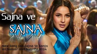 SAJNA VE SAJN ||Rajkumar R ||Shehnaz G |Triptii ||Sajna Ve Sajna New Song|Lofi-Song ||🔥