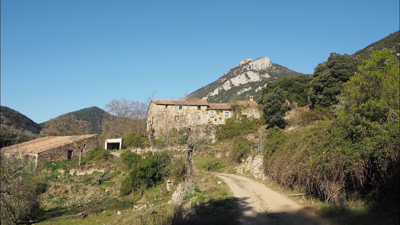 Puig de Bassegoda des de Can Nou