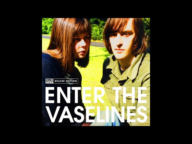 The Vaselines - Enter The Vaselines {FULL ALBUM} 2009 - YouTube