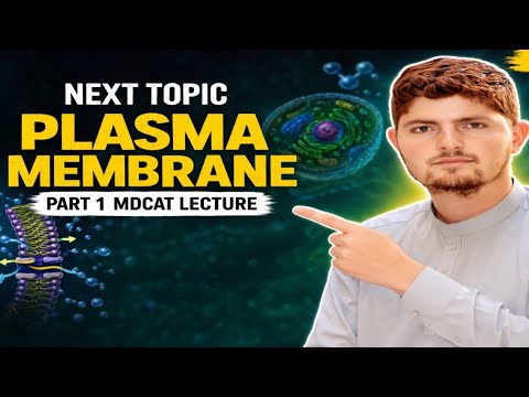 Plasma Membrane for MDCAT | Structure, Functions & Fluid Mosaic Model|| part 1.
