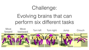 Evolving a Single Modular Robot Brain to Perform Six Different Tasks
