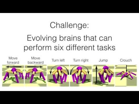 Evolving a Single Modular Robot Brain to Perform Six Different Tasks