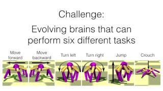 Evolving a Single Modular Robot Brain to Perform Six Different Tasks