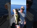 OMG! Cut day 7-11 for Levi Kohl