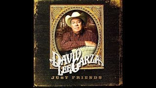 David Lee Garza - Just Friends