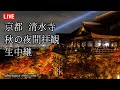 🔴Live 2025/12/03 清水寺 京都 紅葉と秋の夜間拝観 (Kiyomizudera Temple ) Kyoto Japan