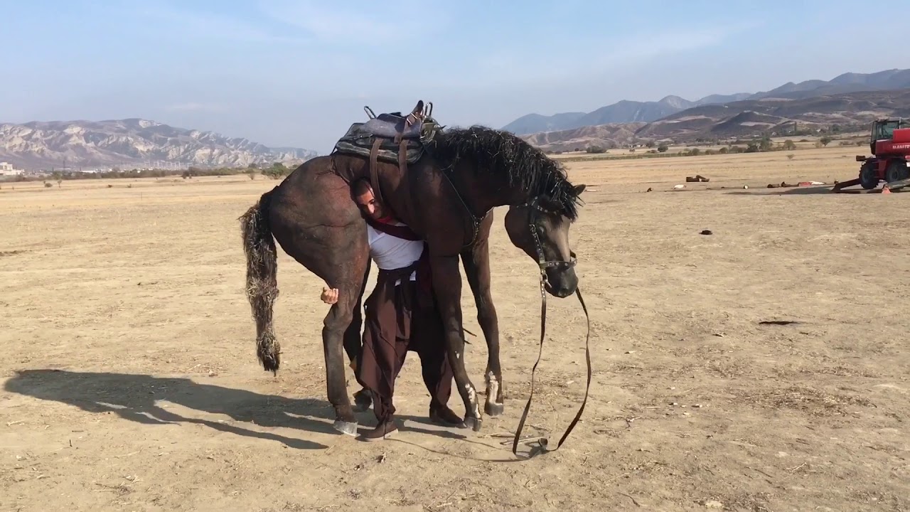 Sye Raa Narasimha Reddy ( World Stuntman in action )