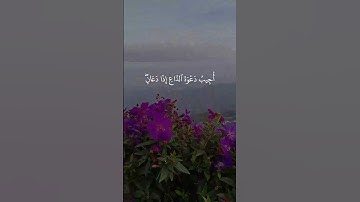 تلاوة خاشعة تبكي القلبو من سورة البقرة..| القارئ عبد الباسط عبد الصمد Abdulbasit