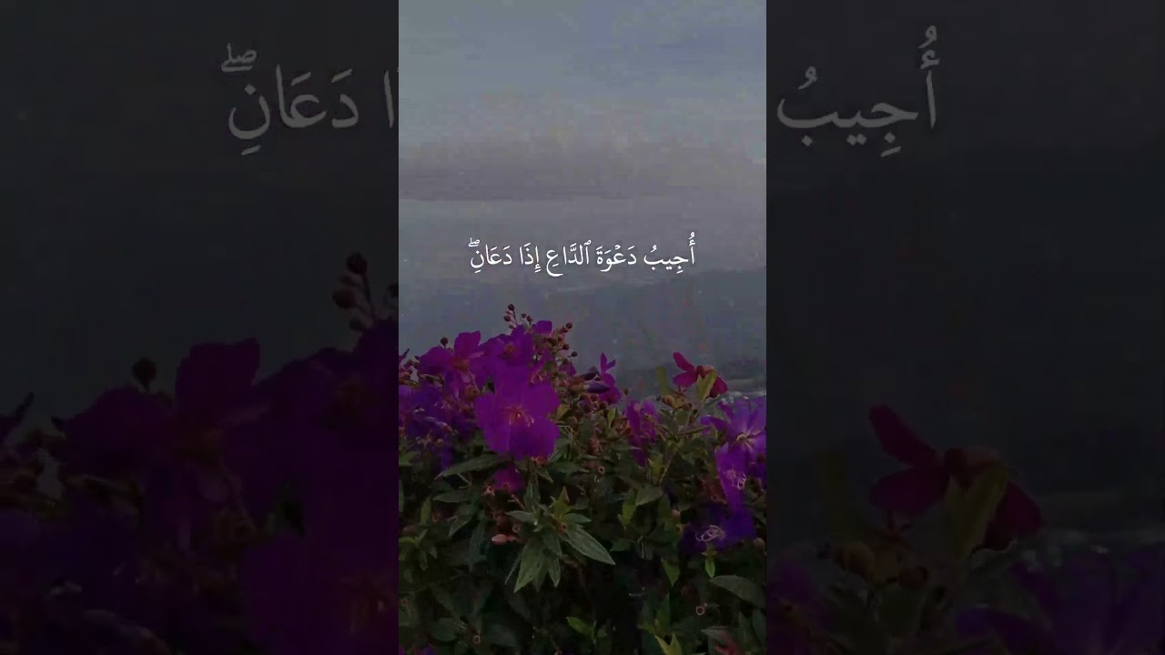 تلاوة خاشعة تبكي القلبو من سورة البقرة..| القارئ عبد الباسط عبد الصمد Abdulbasit