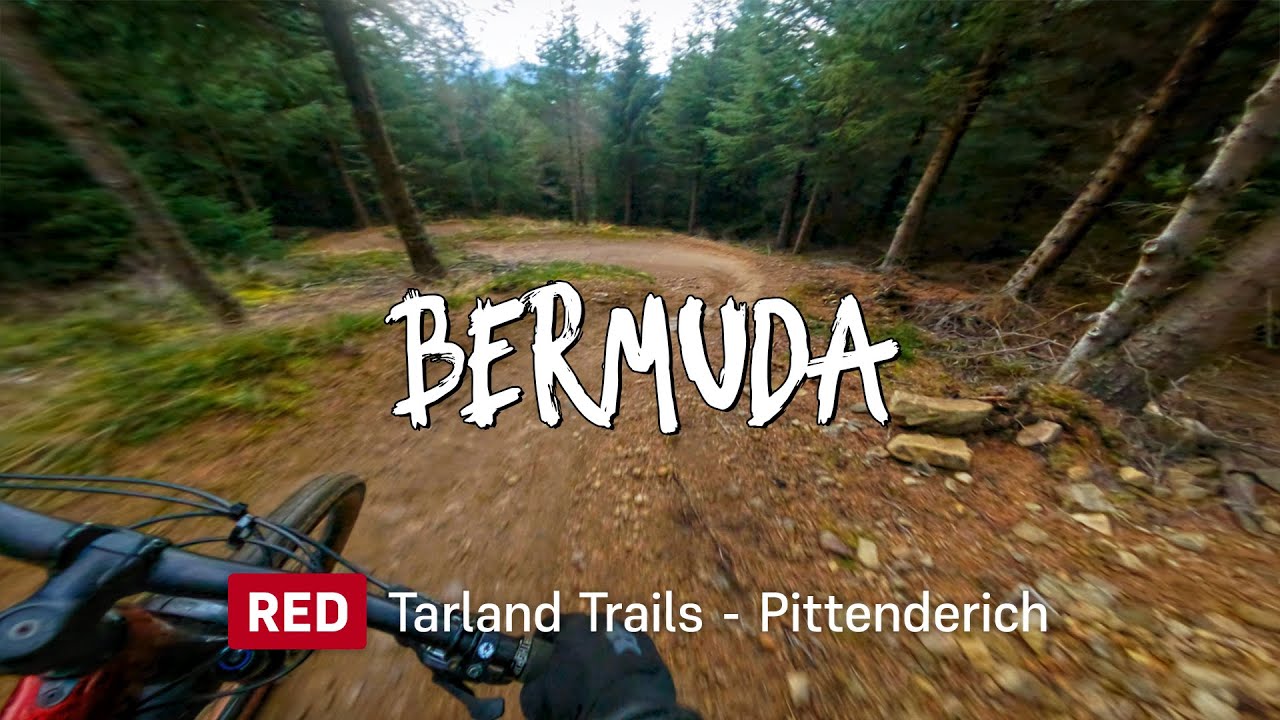 Bermuda - Red Trail - Tarland Trails (Pittenderich), Scotland