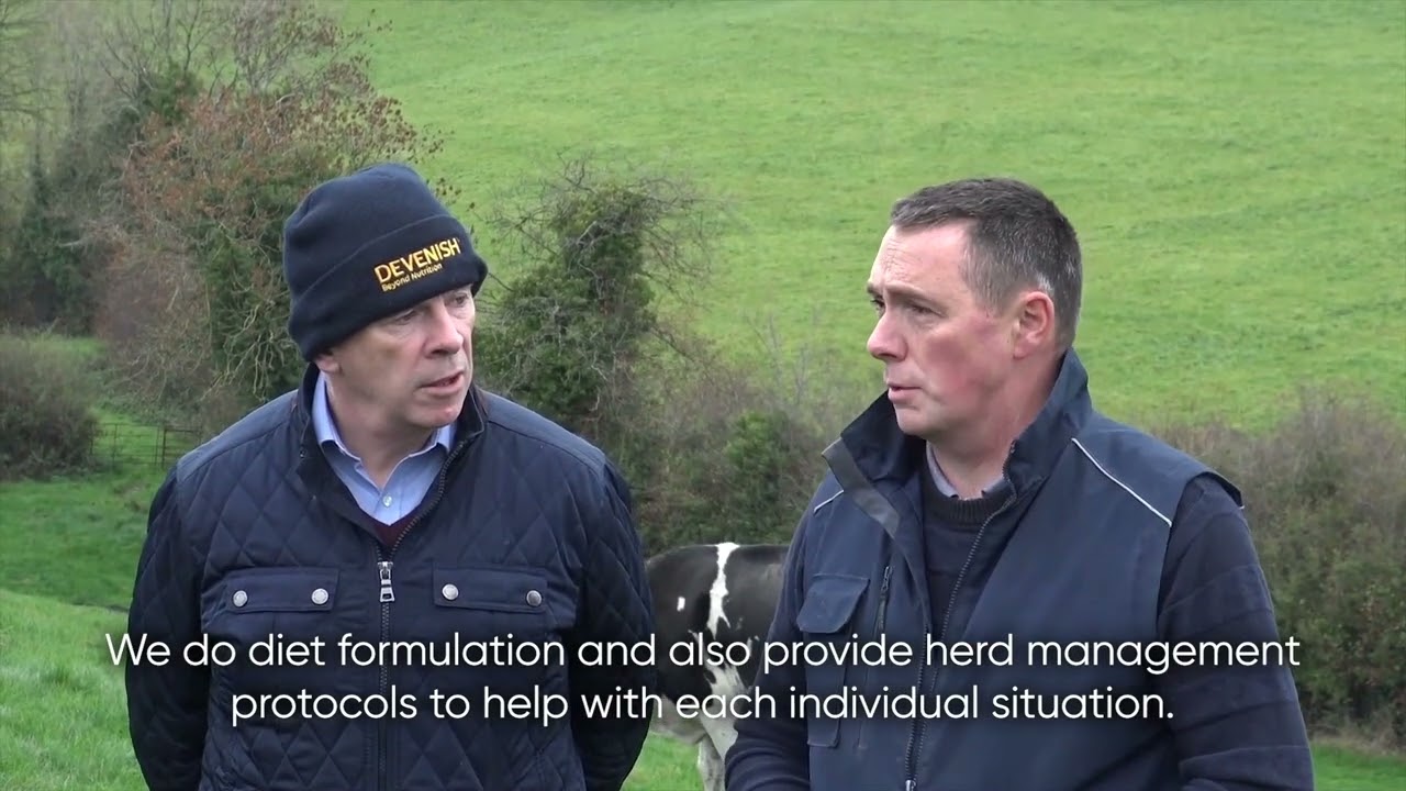 Devenish | Ruminant On Farm Support
