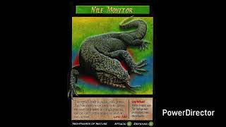Weird N Wild Creatures J Paul Style Season 2 Episode 6 Nile Monitor Lizard 