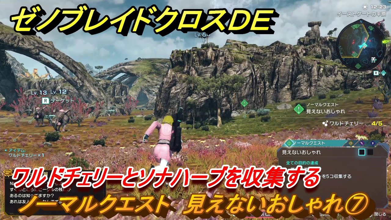 ゼノブレイドクロスDE ノーマルクエスト 見えないおしゃれ⑦ ワルド