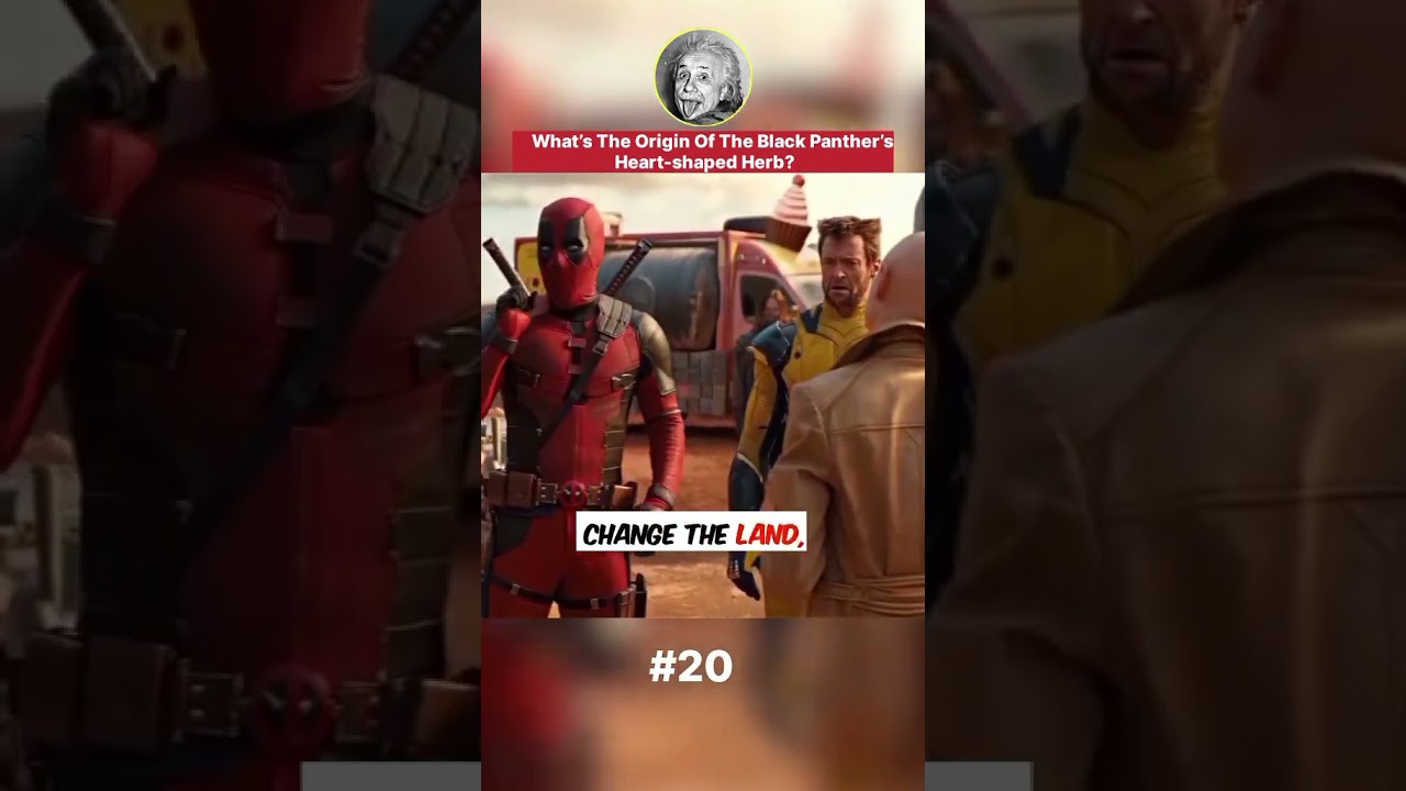 What’s the origin of the Black Panther’s HEART-SHAPED herb?