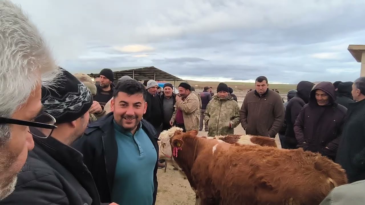 ÇORUM SUNGURLU HAYVAN PAZARI 26 ŞUBAT ÇEKİMİ 2.BÖLÜM 27 ŞUBAT 2026