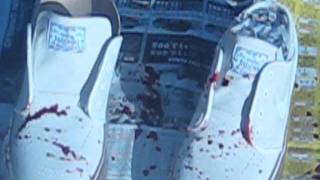 janoski blood splatter