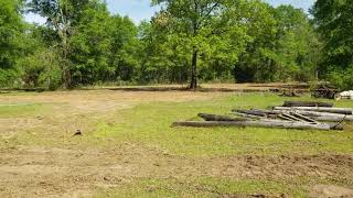 5 acre clearing project is finished. by Johnny Waters 201 views 5 years ago 54 seconds
