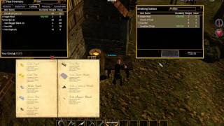 Shroud of the Avatar .. Craftingi merak edenler için gelsin.. Pre Alpha