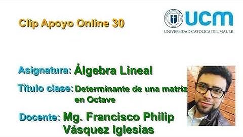 Determinante de una Matriz en Octave