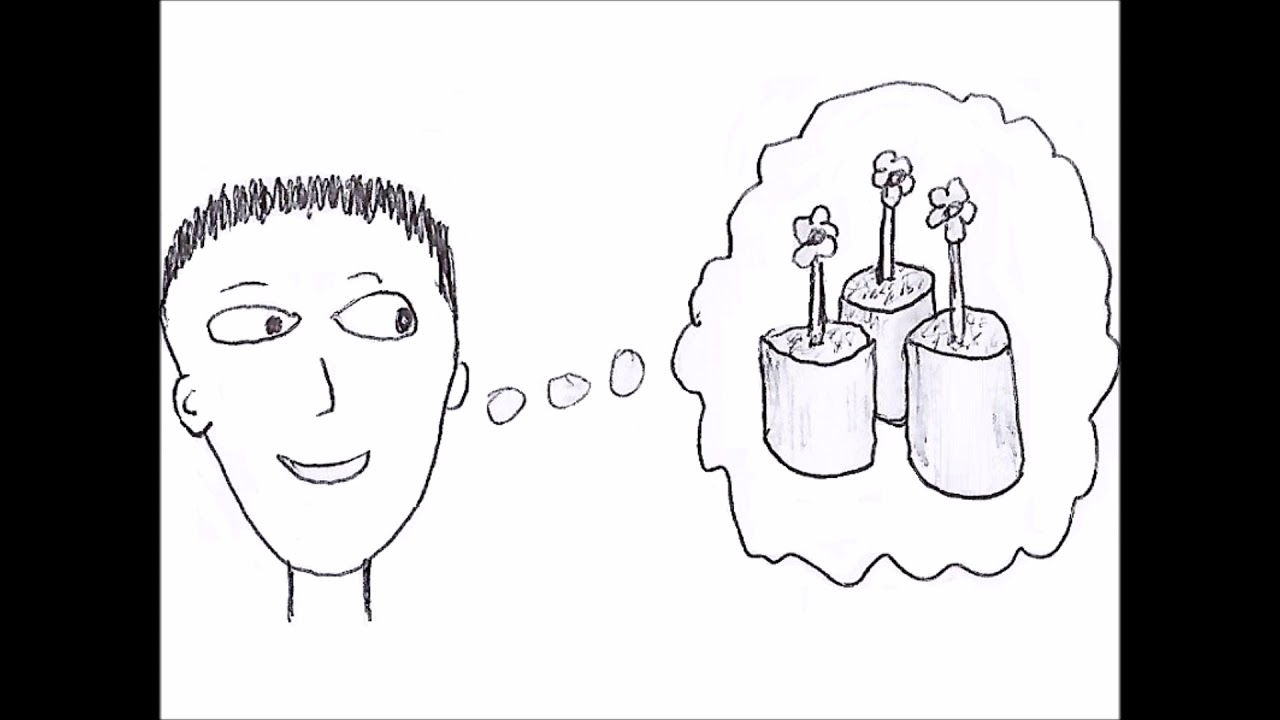 The Flowers by Pete Malicki - animation storyboard