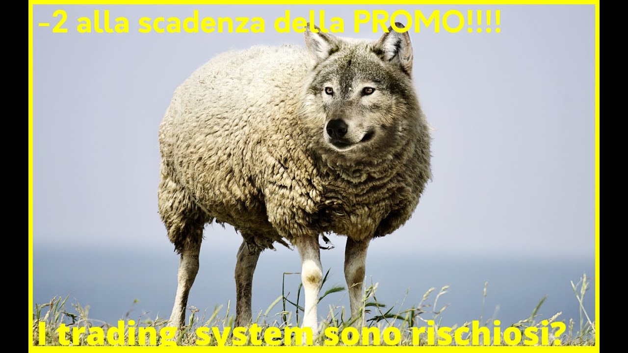 I trading system sono rischiosi?